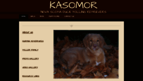 What Kasomor.com website looked like in 2020 (4 years ago)