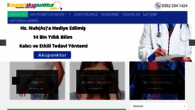 What Kayseriakupunktur.com website looked like in 2020 (4 years ago)