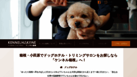 What Kennel-hakone.com website looked like in 2020 (4 years ago)