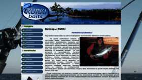 What Kurki-baits.com website looked like in 2020 (4 years ago)
