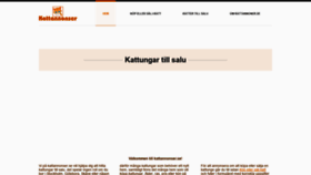What Kattannonser.se website looked like in 2020 (4 years ago)