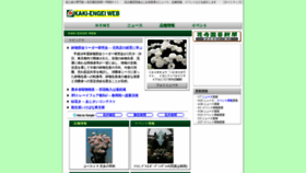 What Kakiengei.jp website looked like in 2020 (4 years ago)