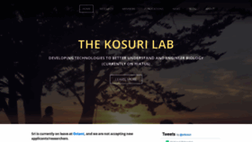 What Kosurilab.org website looked like in 2020 (4 years ago)