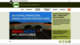 What Korytarze.pl website looked like in 2020 (4 years ago)