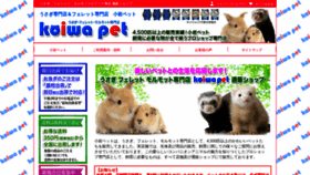 What Koiwa-pet.jp website looked like in 2020 (4 years ago)