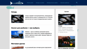 What Karppoklevkin.ru website looked like in 2020 (4 years ago)