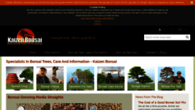 What Kaizenbonsai.com website looked like in 2020 (3 years ago)