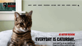 What Kittenrescue.org website looked like in 2020 (3 years ago)