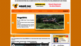 What Karagolbali.com website looked like in 2020 (3 years ago)