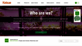 What Keisue.com website looked like in 2020 (3 years ago)