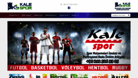 What Kalespor.com website looked like in 2020 (3 years ago)