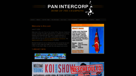 What Koi.com website looked like in 2020 (3 years ago)