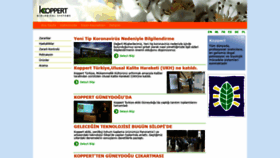 What Koppert.com.tr website looked like in 2020 (3 years ago)