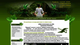 What Kandadzia.ru website looked like in 2020 (3 years ago)