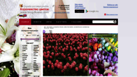 What King-flower.com website looked like in 2020 (3 years ago)