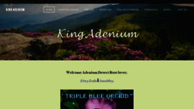 What Kingadenium.net website looked like in 2020 (3 years ago)