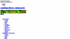 What Kolayca.net website looked like in 2020 (3 years ago)