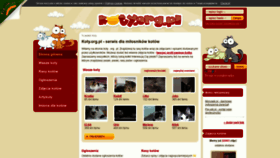 What Koty.org.pl website looked like in 2020 (3 years ago)