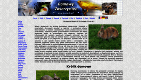 What Kazior5.pl website looked like in 2020 (3 years ago)