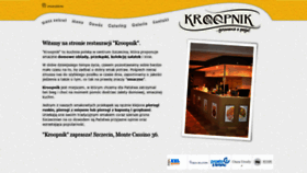 What Kroopnik.pl website looked like in 2020 (3 years ago)