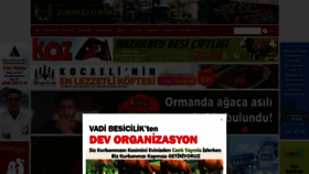 What Kocaelikoz.com website looked like in 2020 (3 years ago)