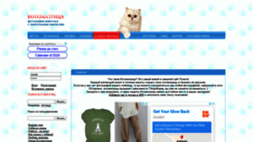 What Kotomatrix.ru website looked like in 2020 (5 years ago)