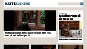 What Katteelskere.com website looked like in 2020 (3 years ago)