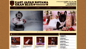 What Koyamabull.jp website looked like in 2020 (3 years ago)