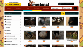 What Kumestenal.com website looked like in 2020 (3 years ago)