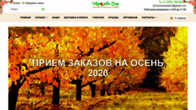 What Koroleva-sada.ru website looked like in 2020 (3 years ago)