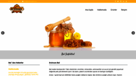 What Karahanbal.com website looked like in 2020 (3 years ago)