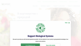 What Koppert.ru website looked like in 2020 (3 years ago)