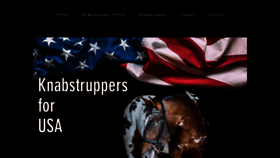 What Knabstruppers4usa.com website looked like in 2020 (3 years ago)