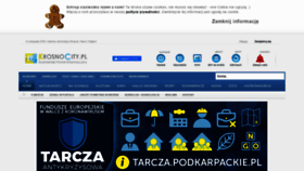 What Krosnocity.pl website looked like in 2020 (3 years ago)