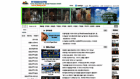 What Kaap.or.kr website looked like in 2020 (5 years ago)