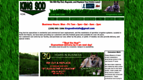 What Kingsodinc.com website looked like in 2020 (3 years ago)