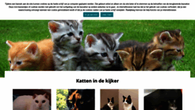 What Katzoektthuis.be website looked like in 2020 (3 years ago)