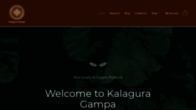 What Kalaguragampa.com website looked like in 2020 (3 years ago)
