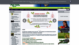 What Keyaeurope.pl website looked like in 2020 (3 years ago)