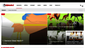 What Kisiselbilgi.com website looked like in 2021 (3 years ago)