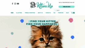 What Kittensup4sale.com website looked like in 2021 (3 years ago)