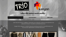 What Kanyontriokuafor.com website looked like in 2021 (3 years ago)