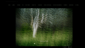 What Karenlmessickphotography.com website looked like in 2021 (3 years ago)
