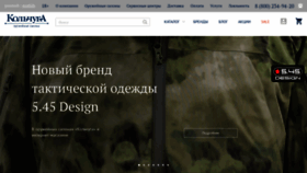 What Kolchuga.ru website looked like in 2021 (3 years ago)