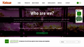 What Keisue.com website looked like in 2021 (2 years ago)