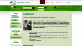 What Karelhadek.ru website looked like in 2021 (2 years ago)