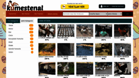 What Kumestenal.com website looked like in 2021 (2 years ago)