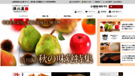 What Kiyokawaya.com website looked like in 2021 (2 years ago)