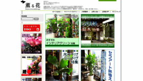 What Kaoruhana.jp website looked like in 2021 (2 years ago)