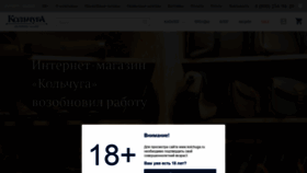 What Kolchuga.ru website looked like in 2022 (2 years ago)